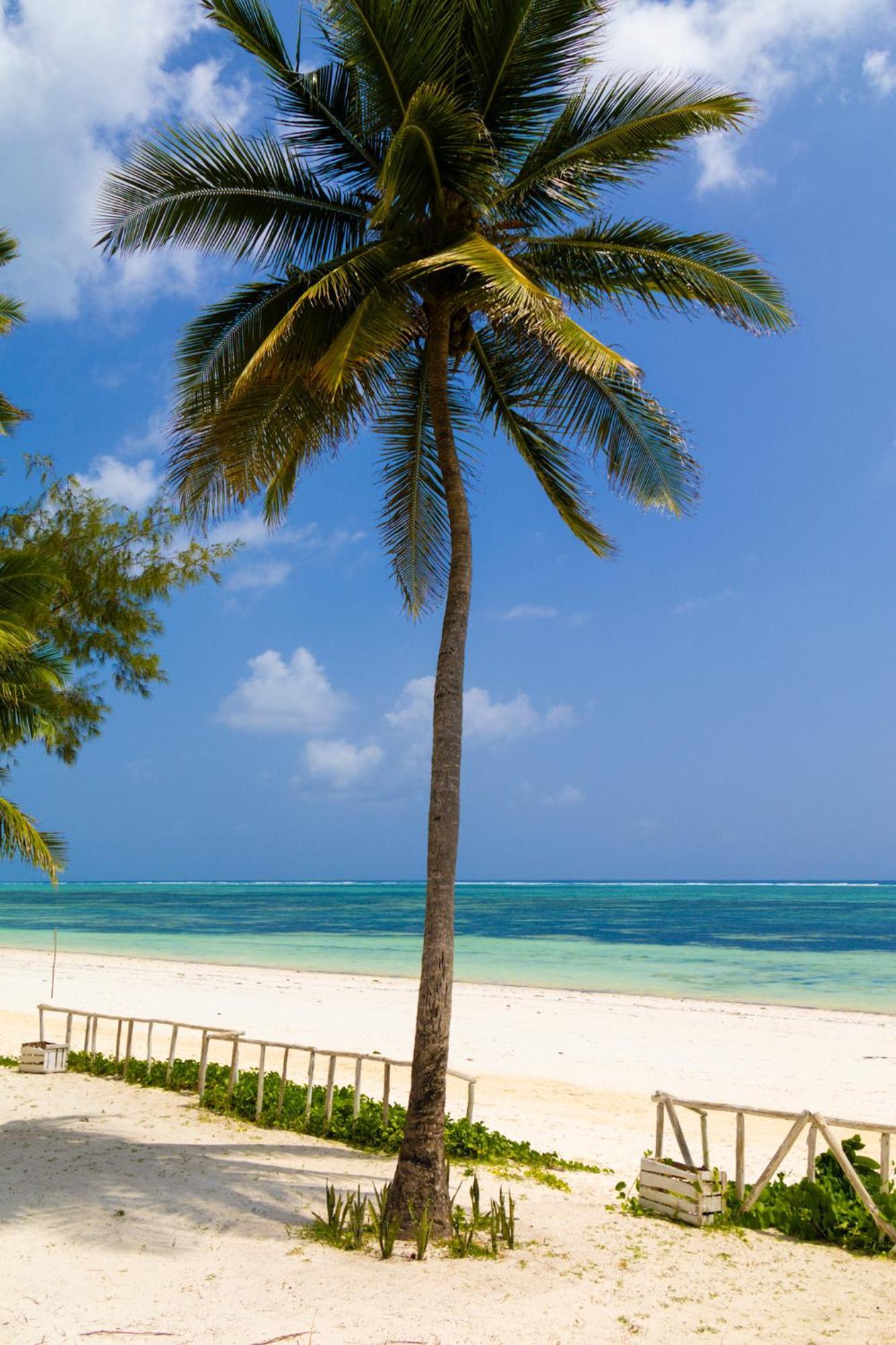 Pili Pili Orient Beach Resort Bwejuu Esterno foto